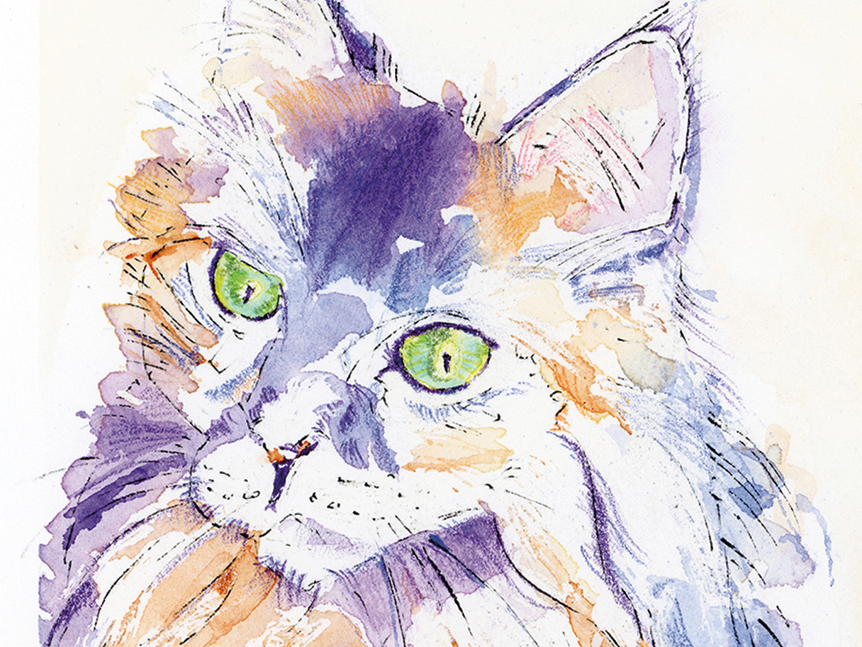 A watercolour and ink portrait of a curious cat with bright green eyes, capturing the quiet attentiveness and personality found in everyday moments.