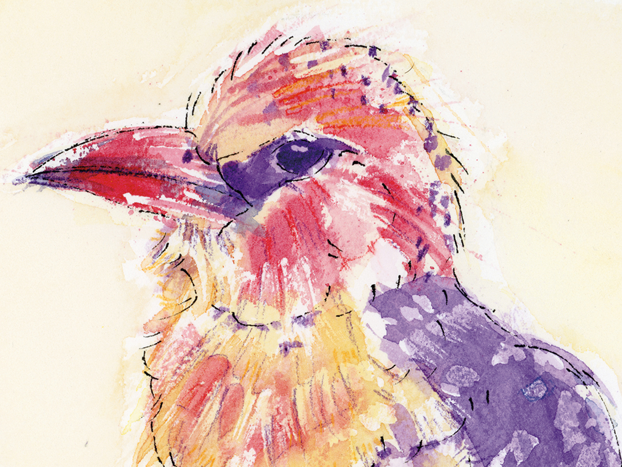A colourful bird painted in loose watercolour and ink, capturing a poised moment of stillness through warm washes and expressive linework.
