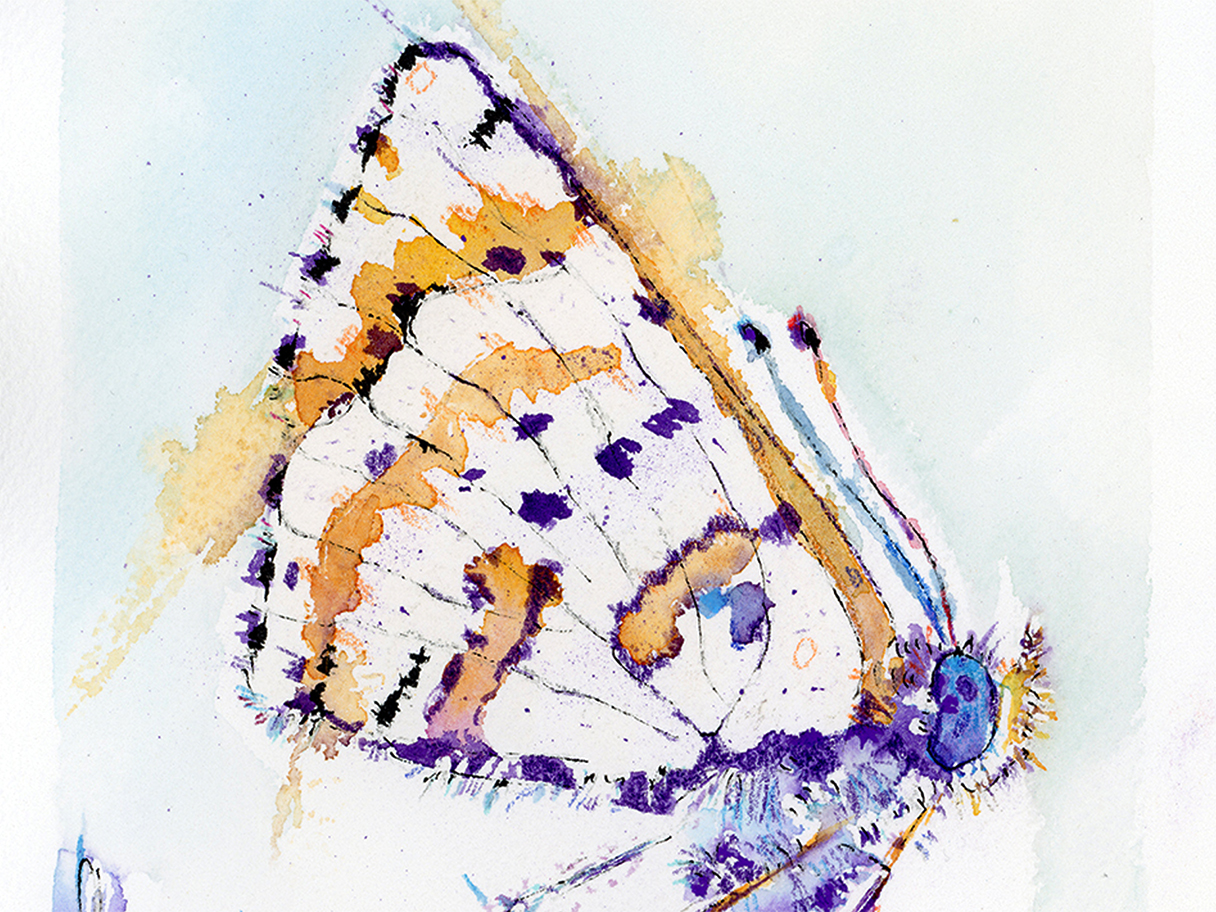 A watercolour and ink butterfly painting inspired by freedom, transformation, and the lightness of moving into something new.