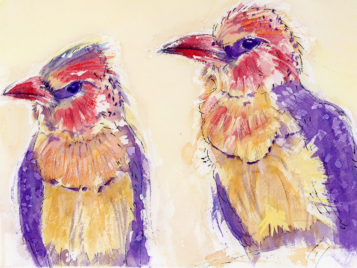Two colourful birds painted in loose watercolour and ink, capturing companionship and the simple comfort of being together.